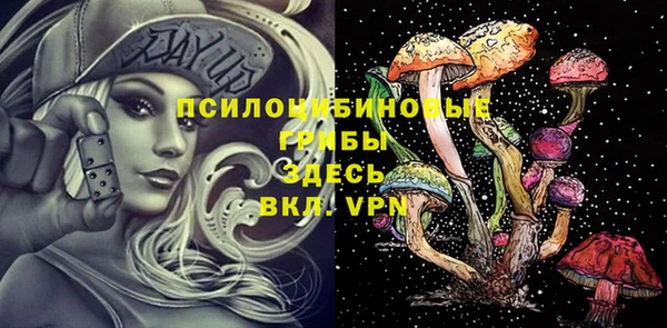 соль ск Абаза