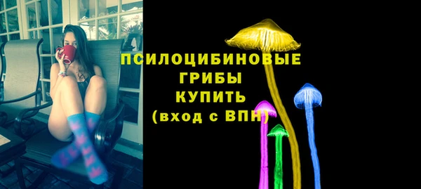 соль ск Абаза
