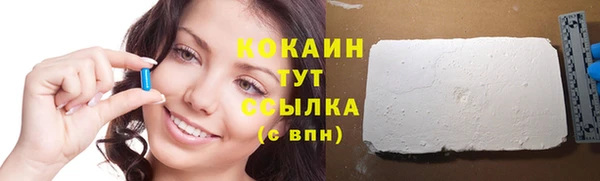 соль ск Абаза