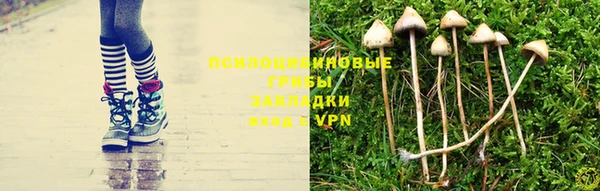 гидропоника Алзамай