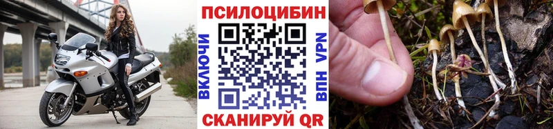 Псилоцибиновые грибы Magic Shrooms  Карабаново 